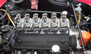 ferrari specialist